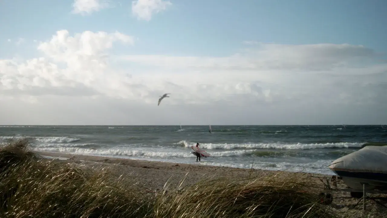 Ein Surfer mit Brett am Strand von Fehmarn, Möwen kreisen über dem Meer.