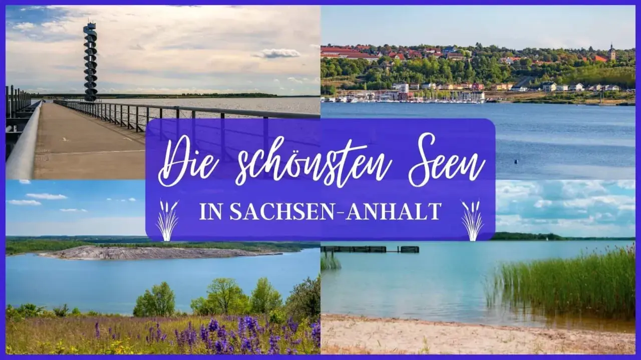 Die schönsten Seen in Sachsen-Anhalt: Aussichtsturm, Hafenstadt, Tagebausee und Strand.