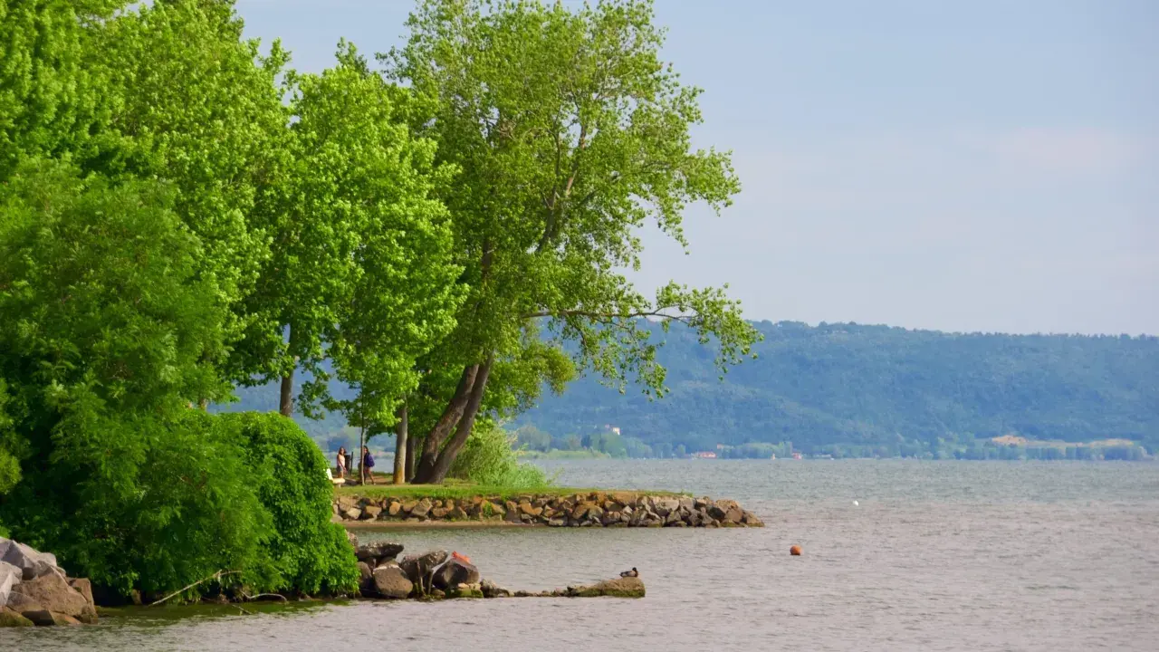 Grüne Bäume säumen das Ufer des Lago di Bolsena. Eine kleine Bucht mit Felsen und einer Ente lädt zum Verweilen ein.
