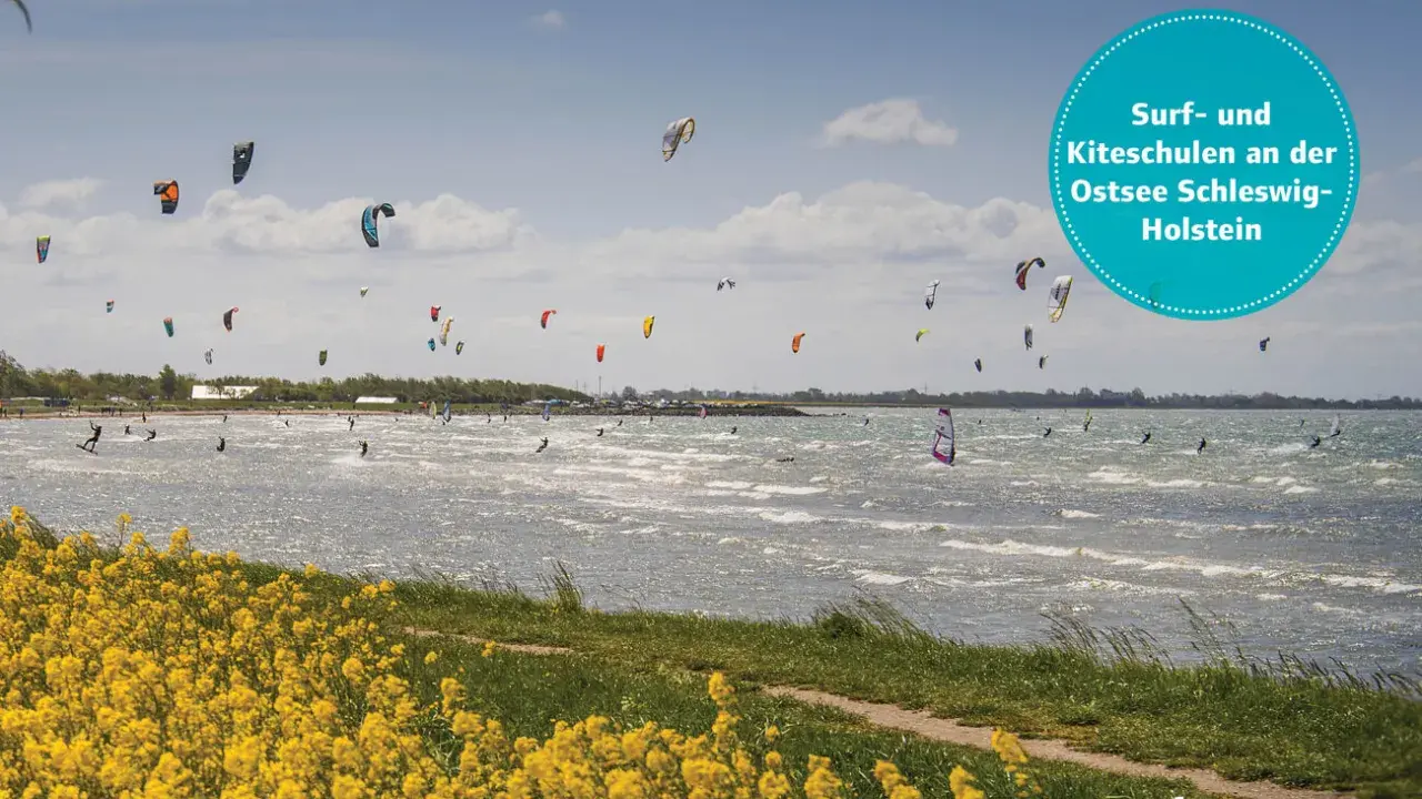 Bunte Kites und Surfer bevölkern die Ostsee bei Schwedeneck. Ein Paradies für Wassersportler.