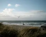 Ein Surfer mit Brett am Strand von Fehmarn, Möwen kreisen über dem Meer.
