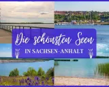 Die schönsten Seen in Sachsen-Anhalt: Aussichtsturm, Hafenstadt, Tagebausee und Strand.