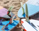 Mehrere Windsurfboards mit bunten Finnen liegen im Sand. Perfekt, wenn Sie ein Windsurfboard kaufen möchten.