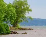 Grüne Bäume säumen das Ufer des Lago di Bolsena. Eine kleine Bucht mit Felsen und einer Ente lädt zum Verweilen ein.