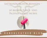Sattelpads richtig waschen: So bleiben Fleece- und Filzpads lange sauber. Ein pinker Bürstenaufsatz liegt auf einem weißen Pad.