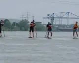 Vier Personen genießen SUP am Rhein. Im Hintergrund sind Strommasten und ein Kran zu sehen.