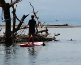 Ein Mann auf einem SUP-Board genießt die Ruhe am See, während im Hintergrund ein Segelboot vorbeizieht.