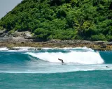Ein Surfer reitet eine Welle vor der üppig grünen Küste von Guadeloupe. Das türkisfarbene Wasser und die felsige Küstenlinie bieten die perfekte Kulisse für das Surfen.