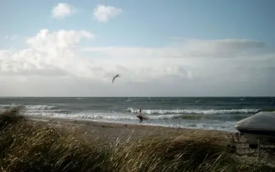 Ein Surfer mit Brett am Strand von Fehmarn, Möwen kreisen über dem Meer.