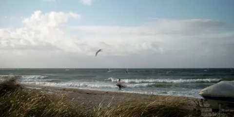 Ein Surfer mit Brett am Strand von Fehmarn, Möwen kreisen über dem Meer.