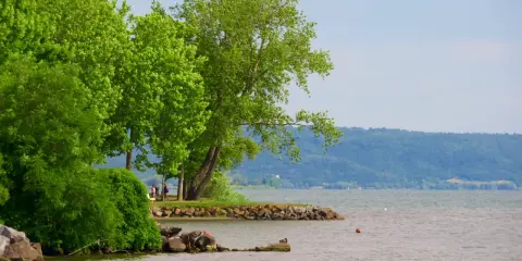 Grüne Bäume säumen das Ufer des Lago di Bolsena. Eine kleine Bucht mit Felsen und einer Ente lädt zum Verweilen ein.