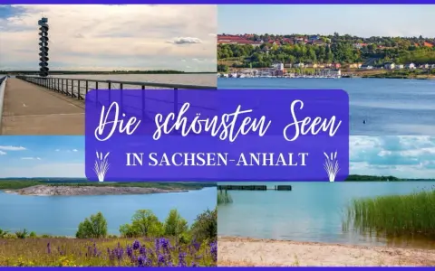 Die schönsten Seen in Sachsen-Anhalt: Aussichtsturm, Hafenstadt, Tagebausee und Strand.