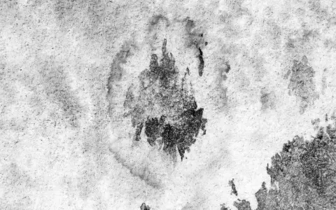 Grauer Stoff mit dunklen Flecken, die an Stockflecken im Zelt erinnern. Ein Versuch, diese zu entfernen, zeigt die Textur.