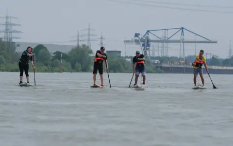 Vier Personen genießen SUP am Rhein. Im Hintergrund sind Strommasten und ein Kran zu sehen.