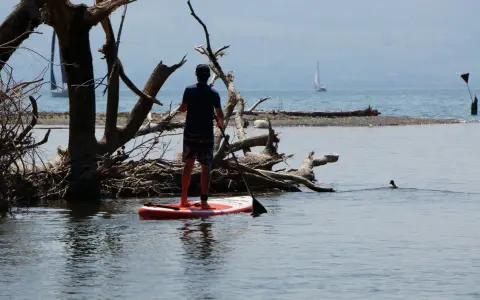 Ein Mann auf einem SUP-Board genießt die Ruhe am See, während im Hintergrund ein Segelboot vorbeizieht.
