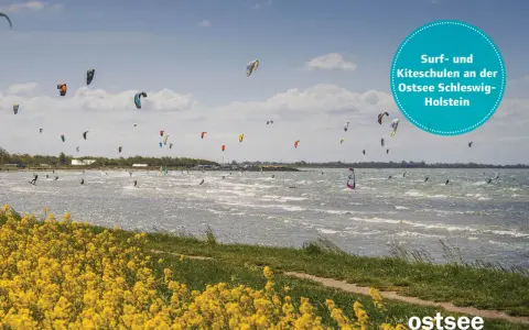Bunte Kites und Surfer bevölkern die Ostsee bei Schwedeneck. Ein Paradies für Wassersportler.