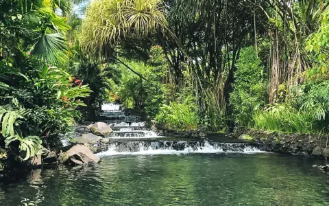 Ein üppiger Wasserfall fließt in den Arenal See, umgeben von tropischer Vegetation und hängenden Wurzeln.