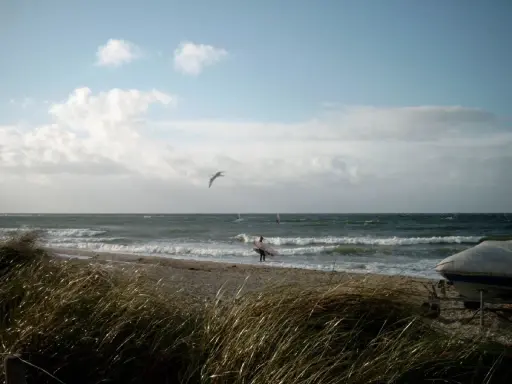 Ein Surfer mit Brett am Strand von Fehmarn, Möwen kreisen über dem Meer.