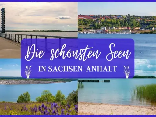 Die schönsten Seen in Sachsen-Anhalt: Aussichtsturm, Hafenstadt, Tagebausee und Strand.