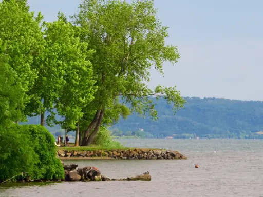 Grüne Bäume säumen das Ufer des Lago di Bolsena. Eine kleine Bucht mit Felsen und einer Ente lädt zum Verweilen ein.