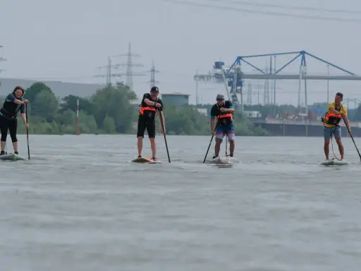 Vier Personen genießen SUP am Rhein. Im Hintergrund sind Strommasten und ein Kran zu sehen.