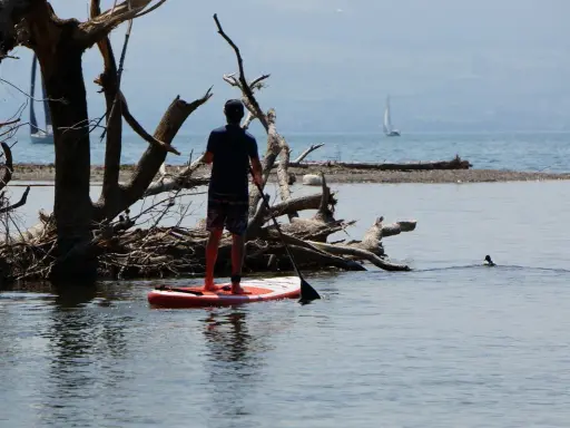 Ein Mann auf einem SUP-Board genießt die Ruhe am See, während im Hintergrund ein Segelboot vorbeizieht.