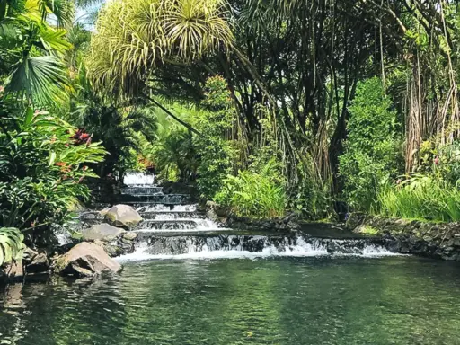 Ein üppiger Wasserfall fließt in den Arenal See, umgeben von tropischer Vegetation und hängenden Wurzeln.