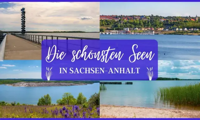 Die schönsten Seen in Sachsen-Anhalt: Aussichtsturm, Hafenstadt, Tagebausee und Strand.