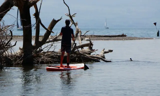 Ein Mann auf einem SUP-Board genießt die Ruhe am See, während im Hintergrund ein Segelboot vorbeizieht.