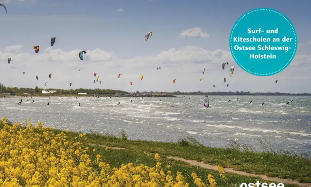 Bunte Kites und Surfer bevölkern die Ostsee bei Schwedeneck. Ein Paradies für Wassersportler.