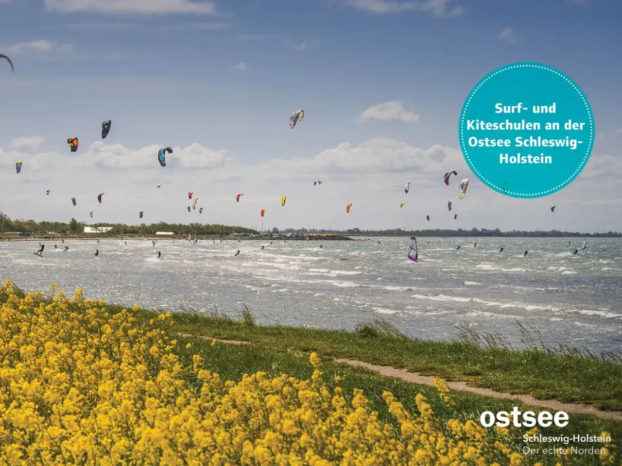 Bunte Kites und Surfer bevölkern die Ostsee bei Schwedeneck. Ein Paradies für Wassersportler.