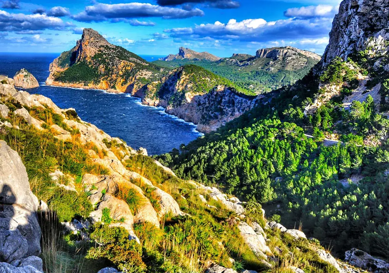 Spektakuläre Küstenlandschaft auf Mallorca mit schroffen Felsen, grünen Pinienwäldern und tiefblauem Meer unter dramatischem Himmel.