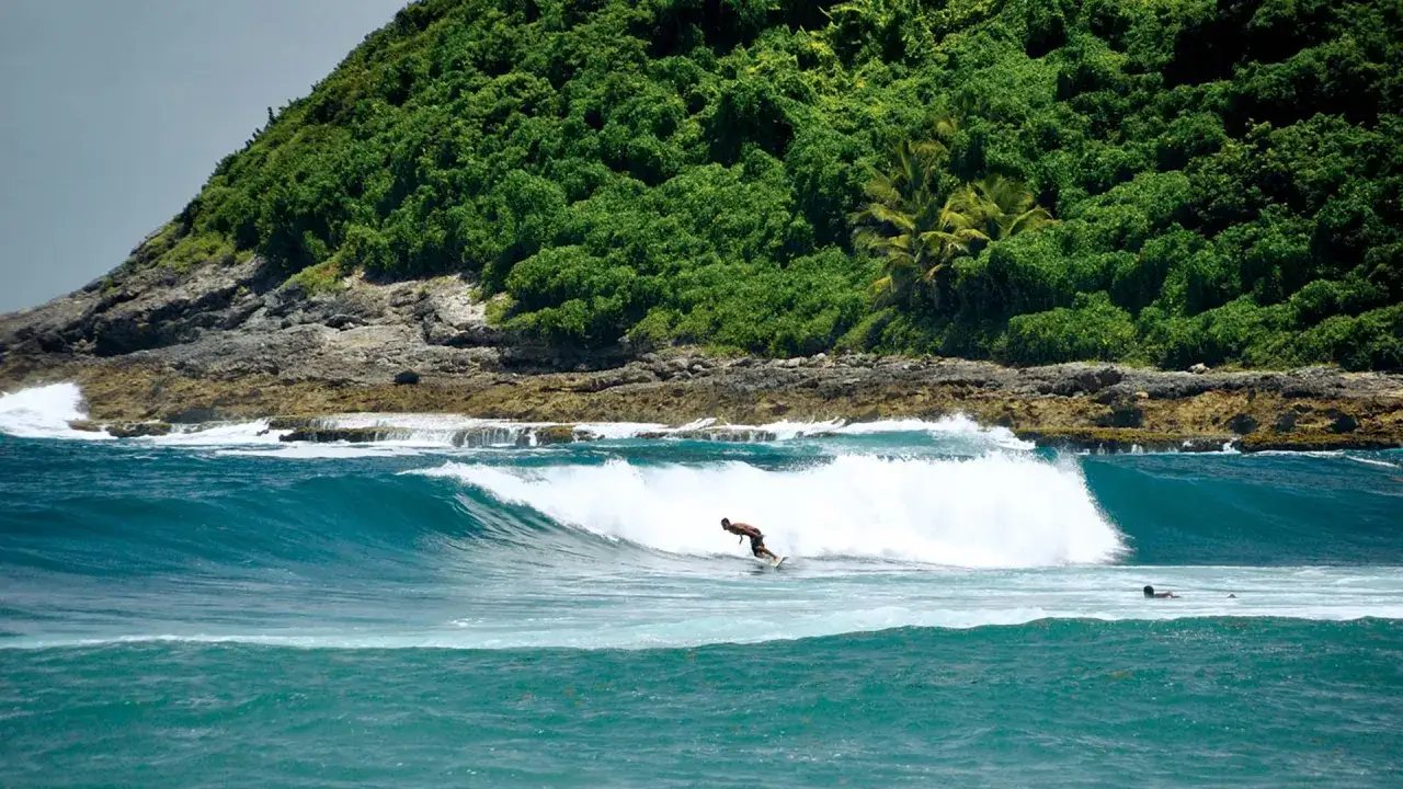 Surfer reitet eine Welle vor einer &uuml;ppig gr&uuml;nen K&uuml;ste auf Guadeloupe.