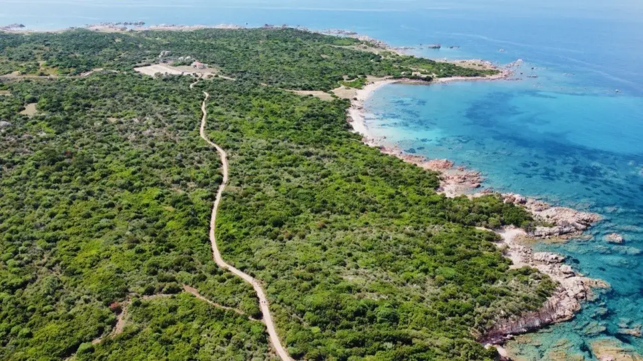 Ein Weg schl&auml;ngelt sich durch &uuml;ppige Vegetation zum Vignola Mare. T&uuml;rkisfarbenes Wasser umsp&uuml;lt felsige K&uuml;sten.