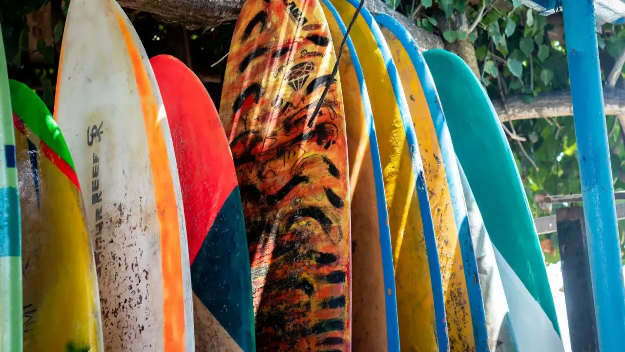 Reihe von Surfbrettern in verschiedenen Farben und Designs. Welches Surfbrett passt zu mir? Hier finden Sie sicher Inspiration f&uuml;r Ihren n&auml;chsten Ritt!