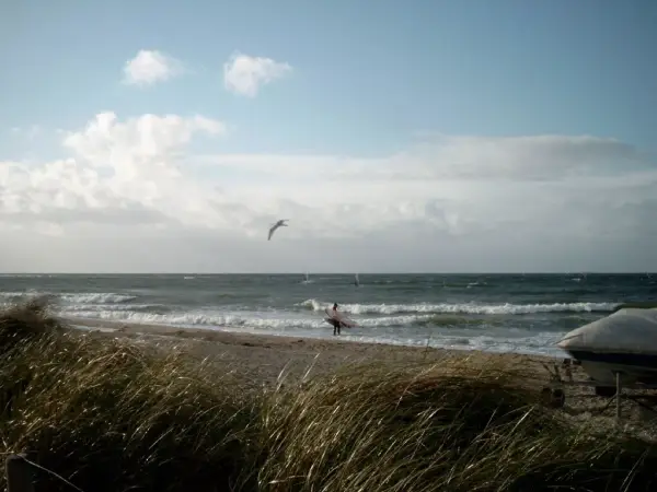 Ein Surfer mit Brett am Strand von Fehmarn, Möwen kreisen über dem Meer.
