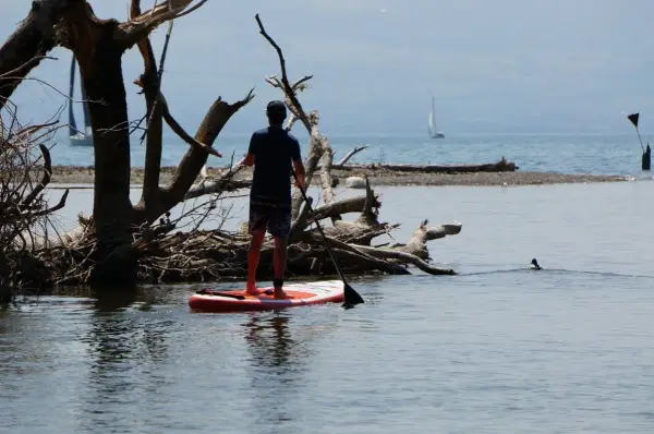 Ein Mann auf einem SUP-Board genießt die Ruhe am See, während im Hintergrund ein Segelboot vorbeizieht.