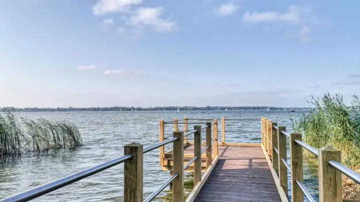 Holzsteg am Zwischenahner Meer mit Segelbooten am Horizont und Schilf am Ufer.